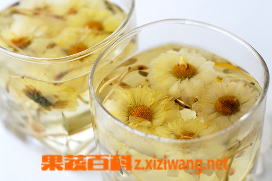 果蔬百科喝菊花茶的好处和坏处
