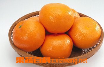 果蔬百科桔子