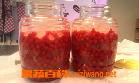 果蔬百科樱桃酒