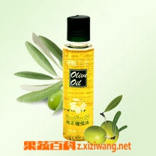 果蔬百科橄榄油