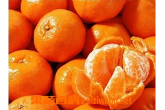 蜜橘皮的功效与作用 蜜橘皮妙用