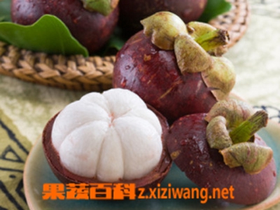果蔬百科山竹