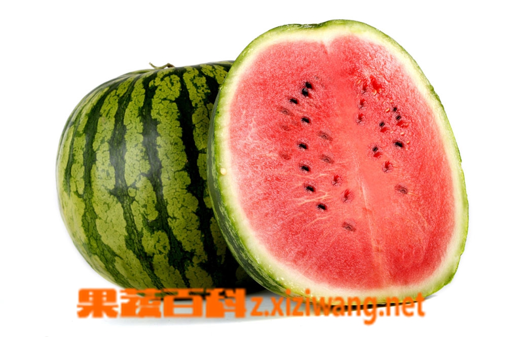 果蔬百科西瓜
