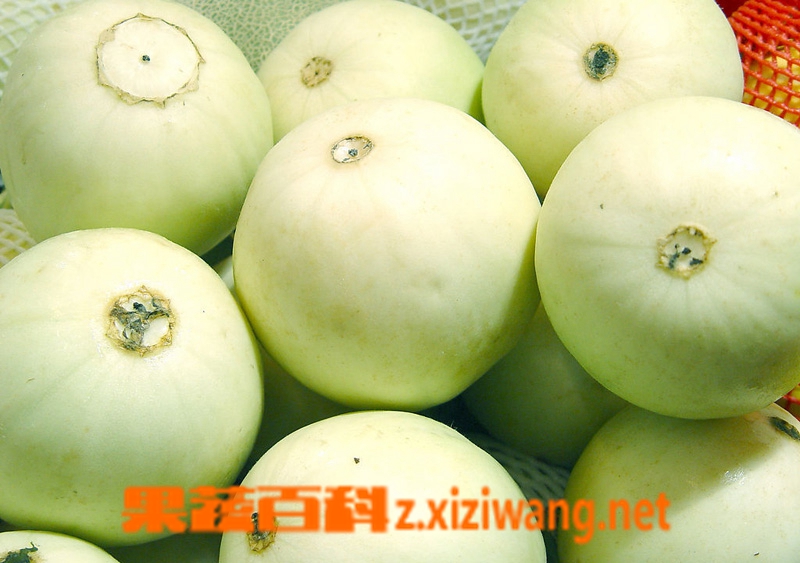 果蔬百科香瓜