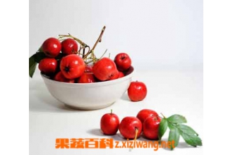 山楂的作用与功效 山楂的营