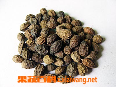 果蔬百科鸦胆子