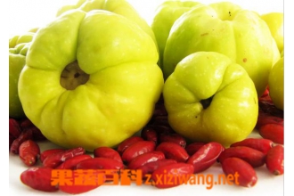 吃蔬菜水果好处,为什么要多吃新