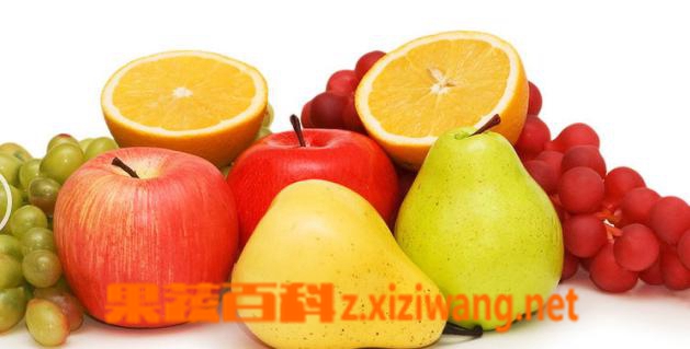 果蔬百科水果