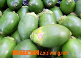 果蔬百科槟榔子