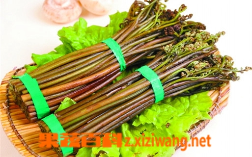 果蔬百科蕨菜