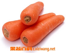 果蔬百科胡萝卜