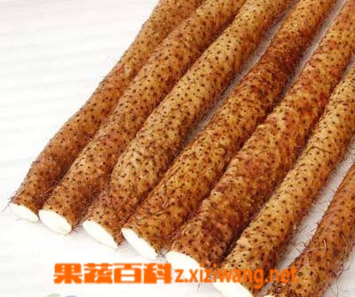 果蔬百科山药