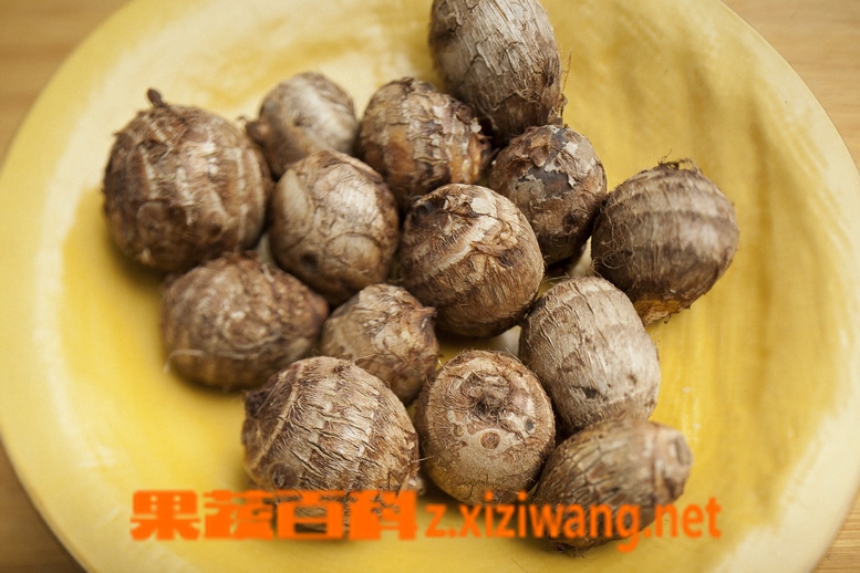 果蔬百科芋头