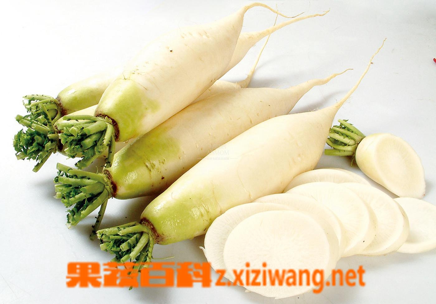 果蔬百科白萝卜