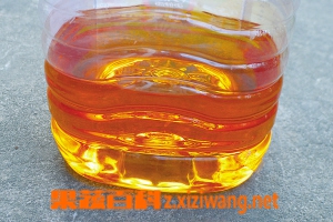 果蔬百科玉米油