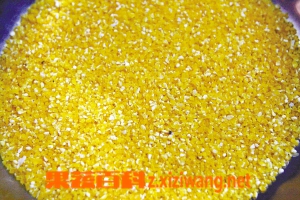 果蔬百科玉米面