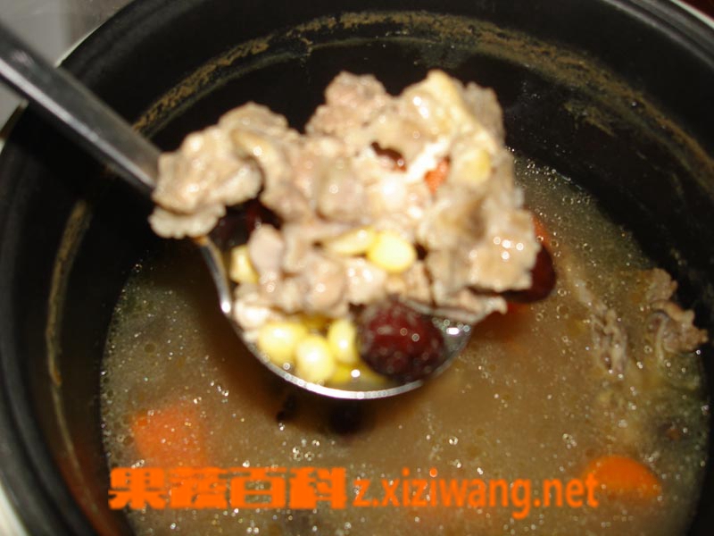 果蔬百科玉米萝卜排骨汤