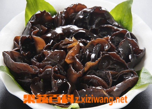 果蔬百科黑木耳