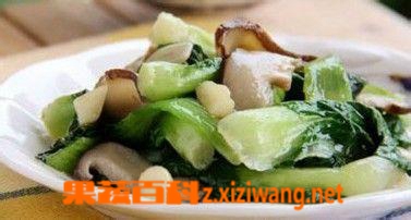 果蔬百科香菇油菜