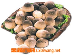 果蔬百科草菇