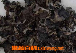 果蔬百科黑木耳