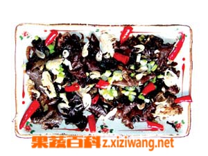 果蔬百科黑木耳