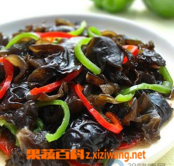 果蔬百科黑木耳