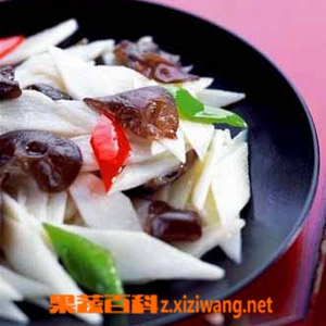 果蔬百科黑木耳