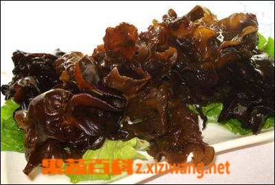 果蔬百科木耳
