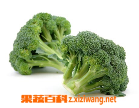 果蔬百科青花菜
