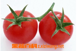 抗癌食物的吃法,哪些食物能抗癌