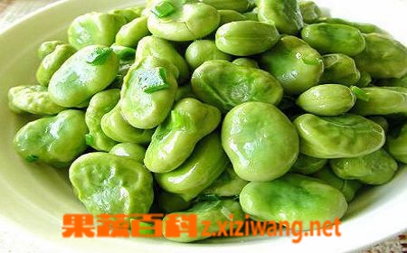 果蔬百科蚕豆