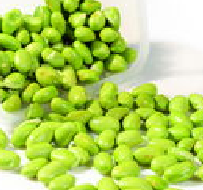 果蔬百科青豆