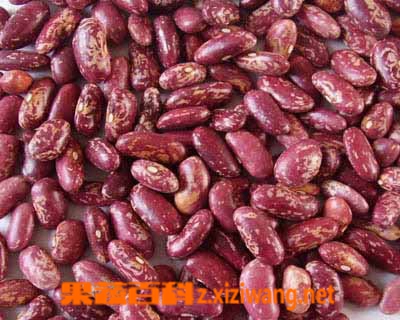 果蔬百科芸豆