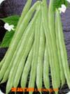 果蔬百科芸豆