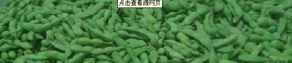 果蔬百科毛豆