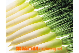 冬吃萝卜夏吃姜