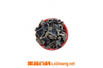干木耳的营养价值