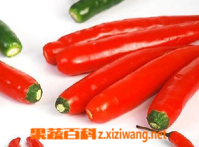 果蔬百科辣椒