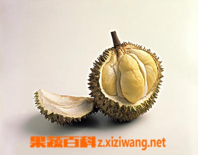 果蔬百科榴莲壳怎么吃 榴莲壳吃法技巧