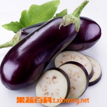 果蔬百科茄子