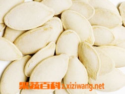 果蔬百科白南瓜子