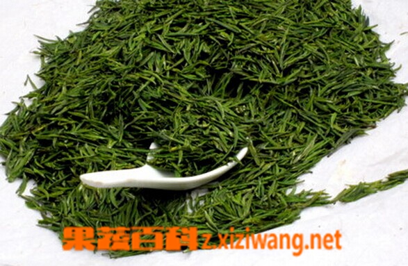 果蔬百科绿茶
