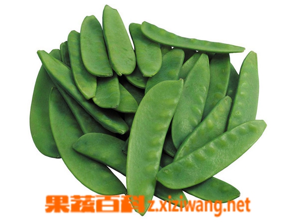 果蔬百科蚕豆