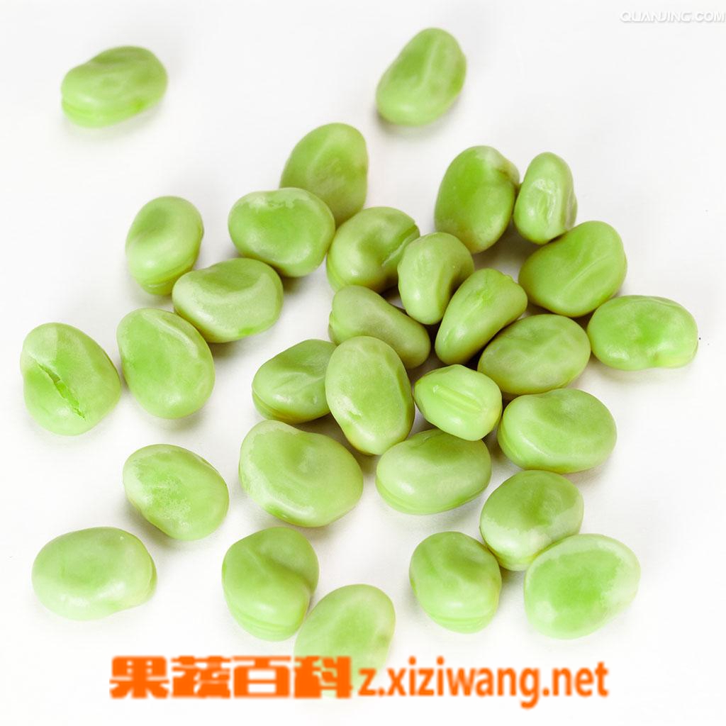 果蔬百科蚕豆