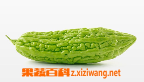 果蔬百科苦瓜