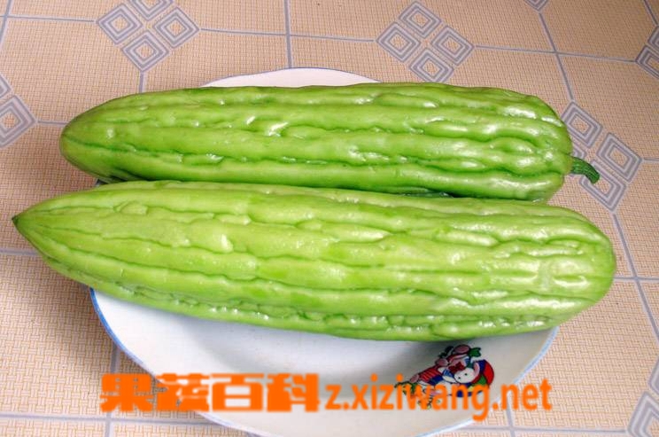 果蔬百科苦瓜