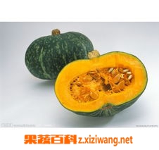 果蔬百科南瓜