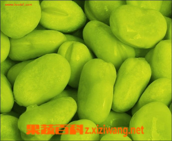果蔬百科蚕豆