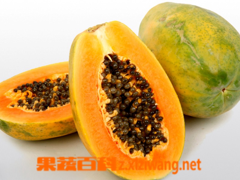 果蔬百科木瓜